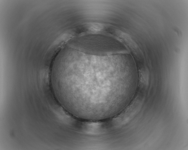 X0000113230313200909101216