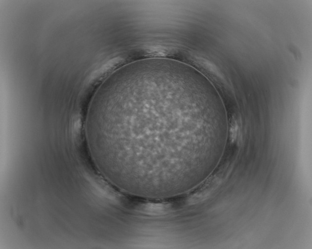 X0000113230314200909101216