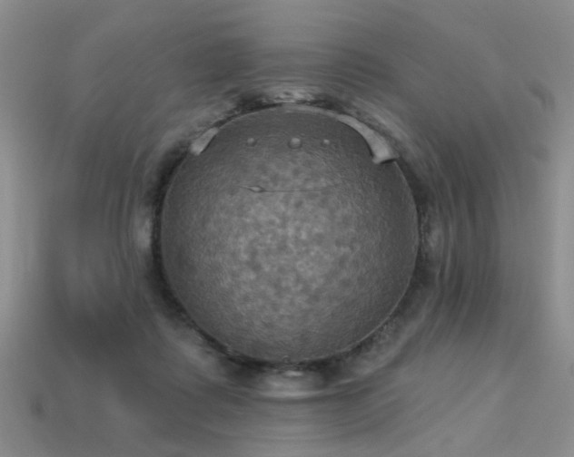 X0000113230315200909101216