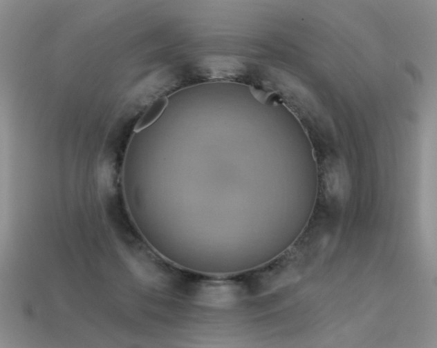X0000113230316200909101216