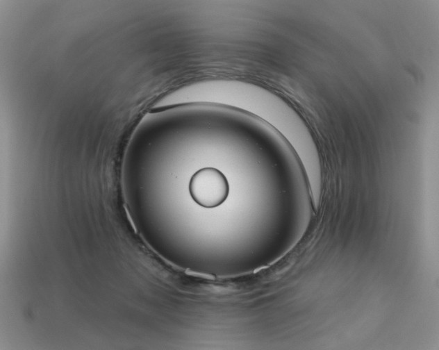 X0000113230317200909101216
