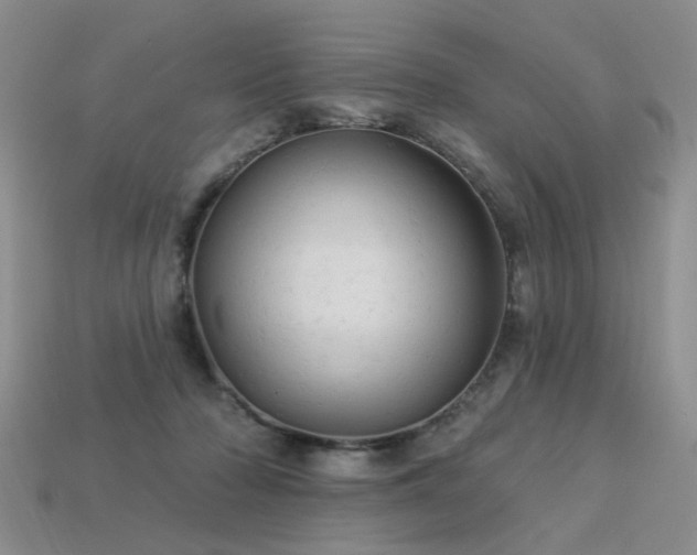 X0000113230318200909101216