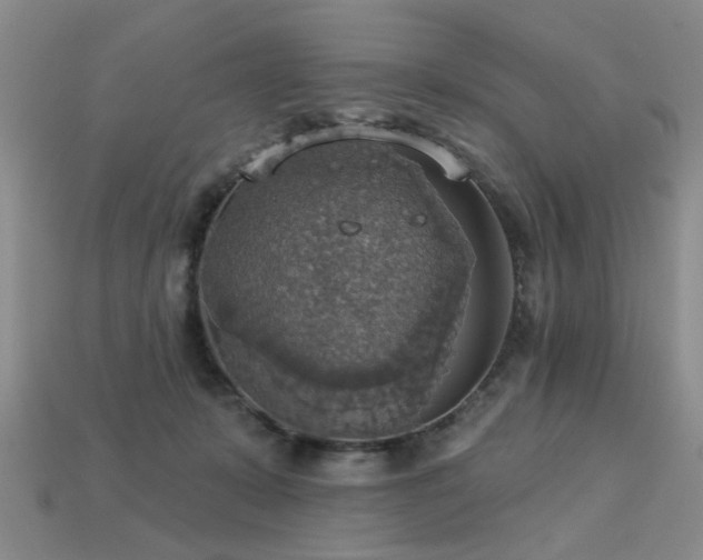 X0000113230319200909101216