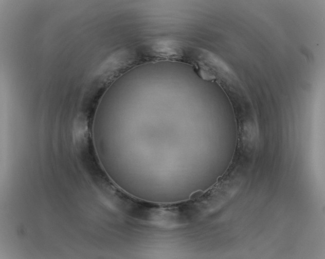 X0000113230320200909101216