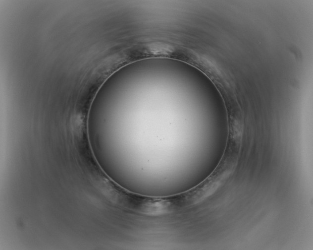 X0000113230321200909101216