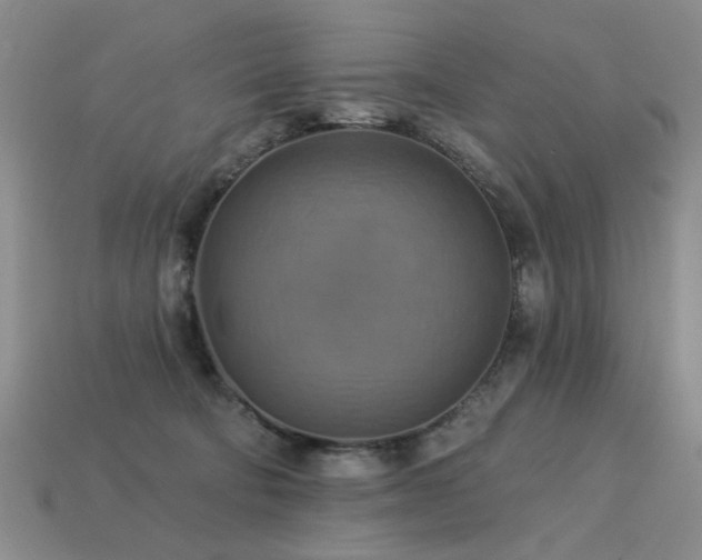 X0000113230322200909101216