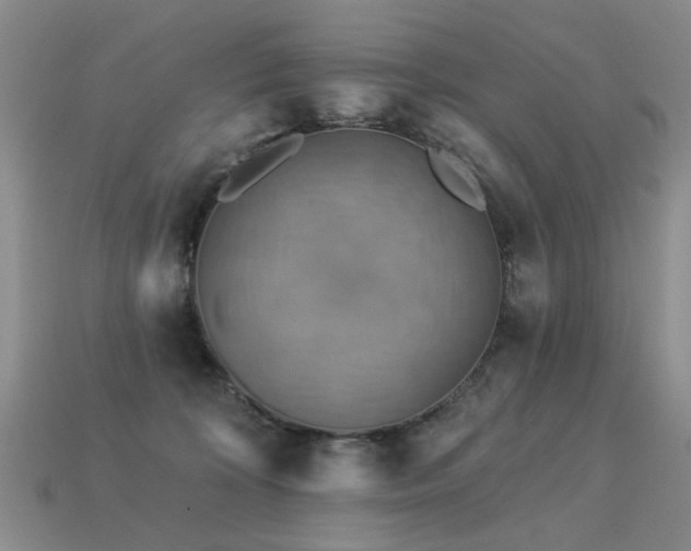 X0000113230324200909101216
