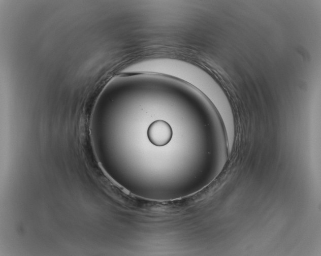 X0000113230325200909101216