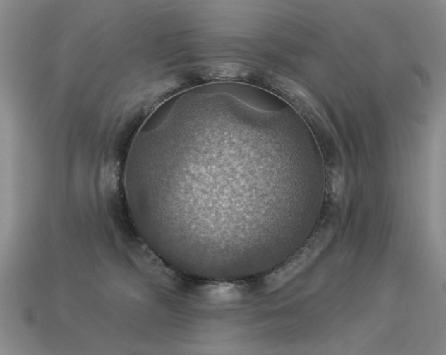 X0000113230326200909101216