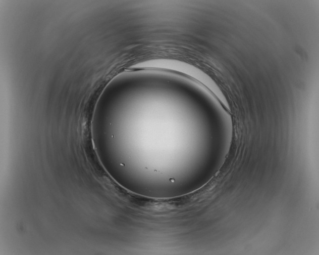 X0000113230327200909101216