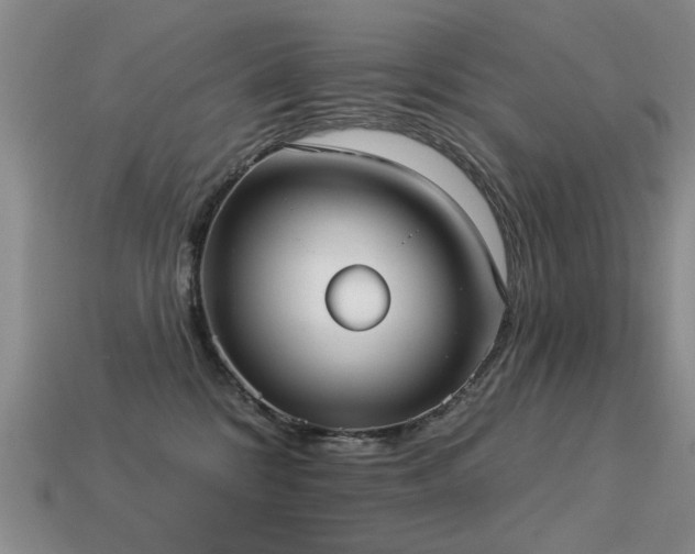 X0000113230328200909101216