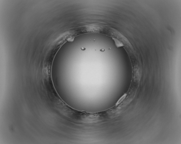 X0000113230329200909101216
