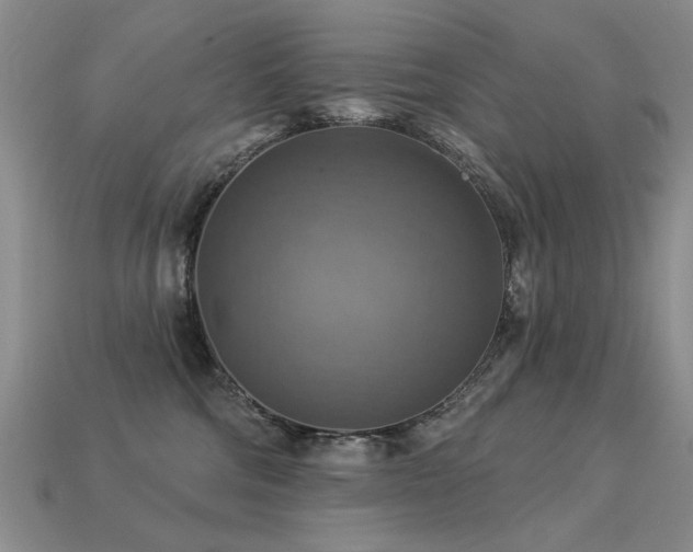 X0000113230330200909101216