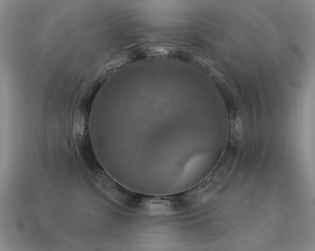 X0000113230331200909101216