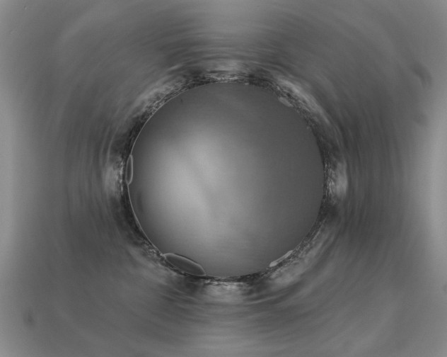 X0000113230332200909101216