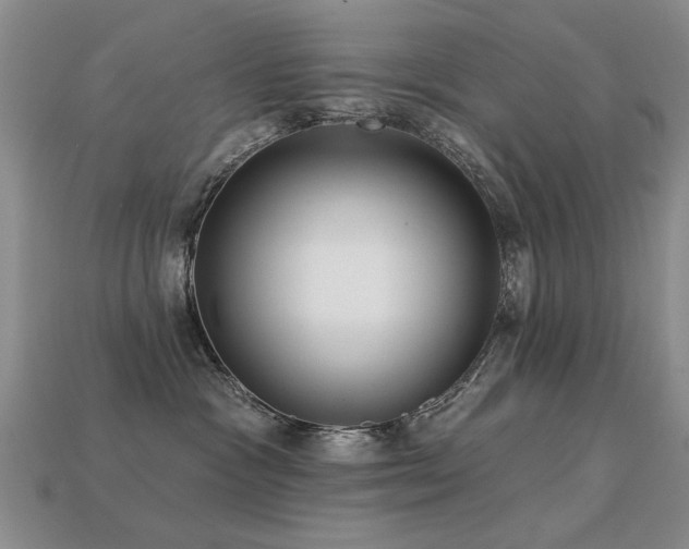 X0000113230333200909101216