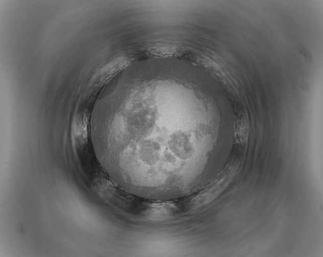 X0000113230334200909101216
