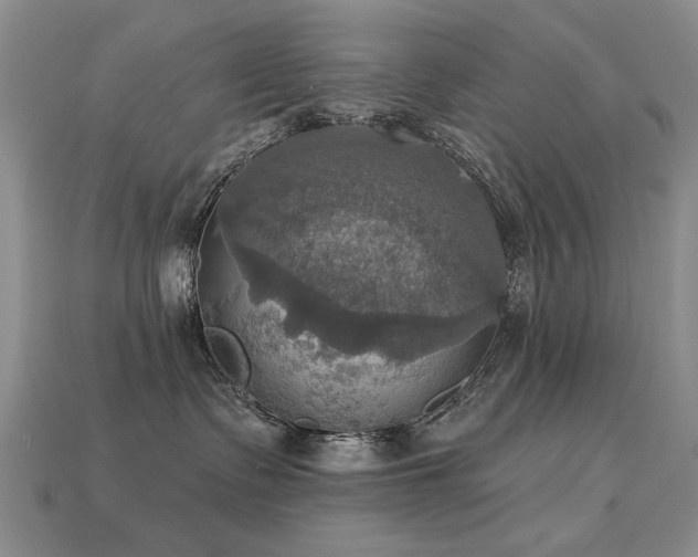 X0000113230335200909101216