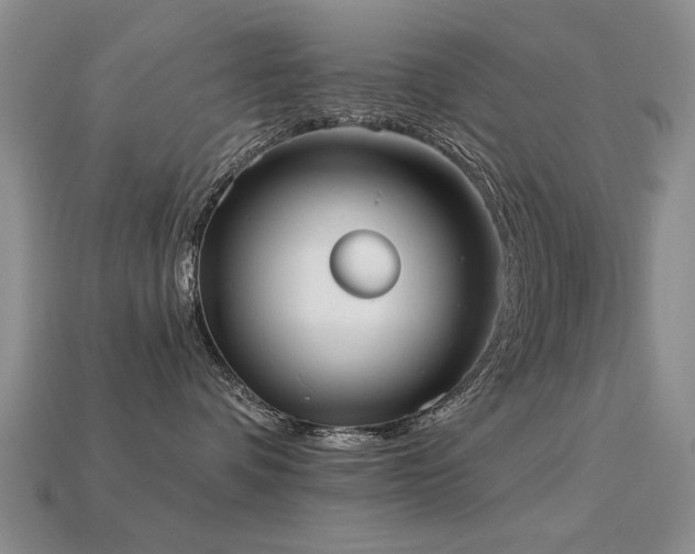 X0000113230336200909101216