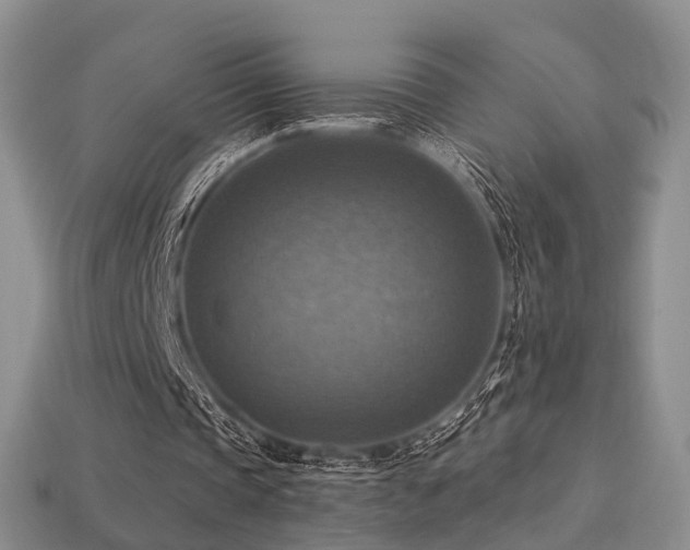X0000113230337200909101215
