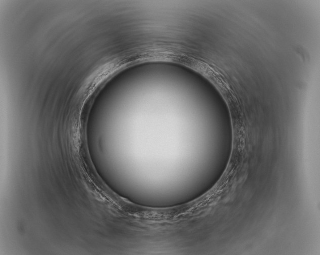 X0000113230338200909101215