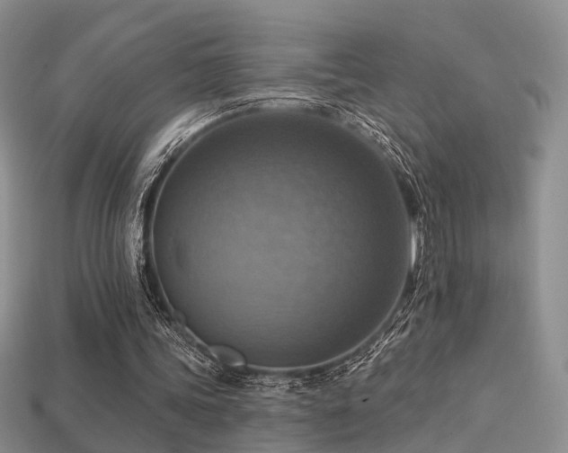 X0000113230339200909101215