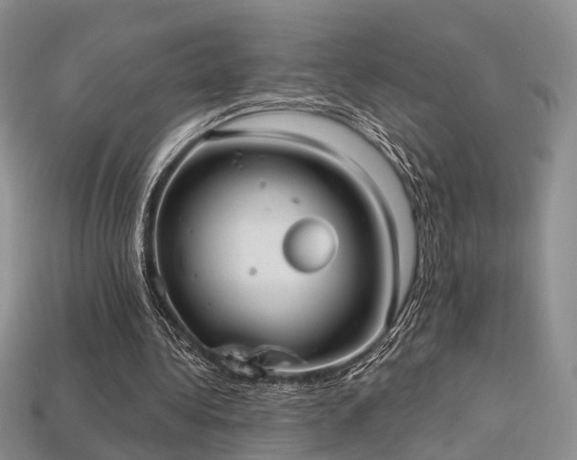 X0000113230340200909101215