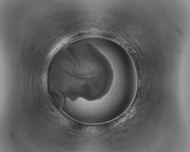 X0000113230341200909101215