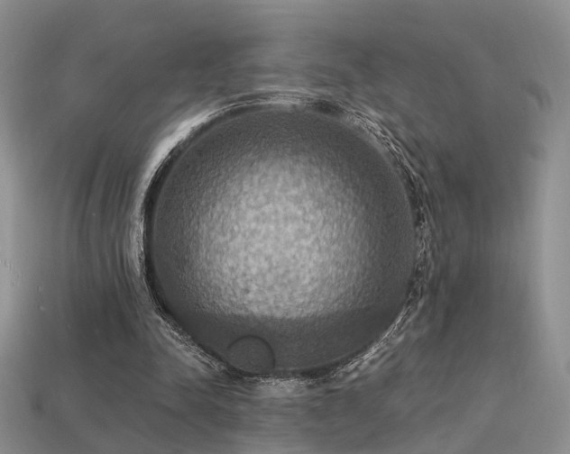 X0000113230342200909101215