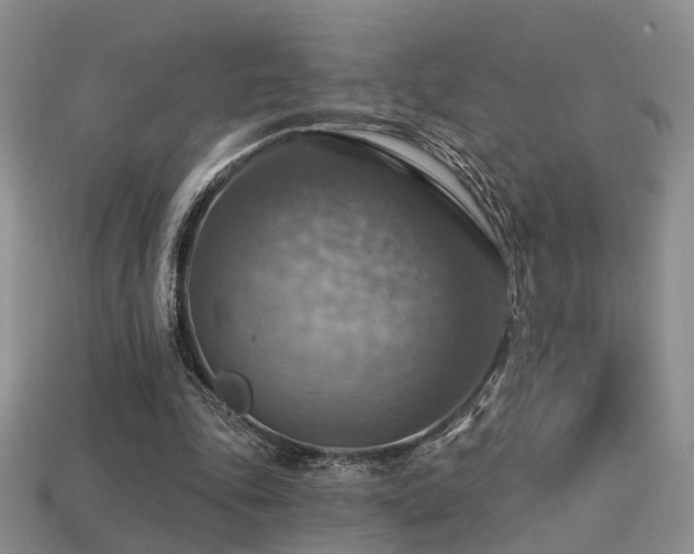 X0000113230343200909101215