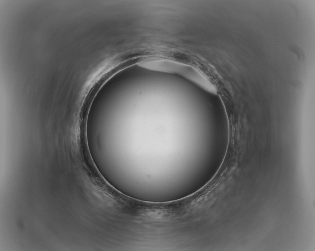 X0000113230344200909101215