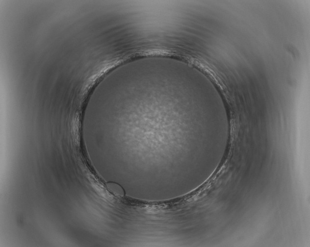 X0000113230345200909101215