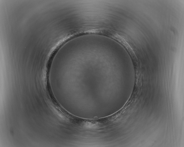 X0000113230346200909101216