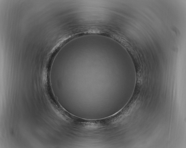 X0000113230347200909101216