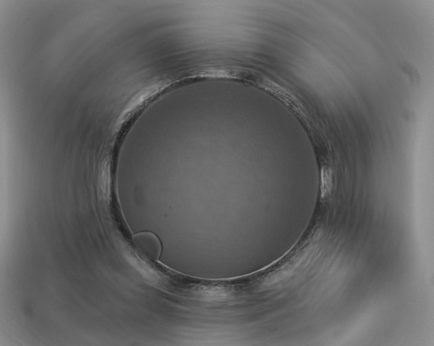 X0000113230349200909101216