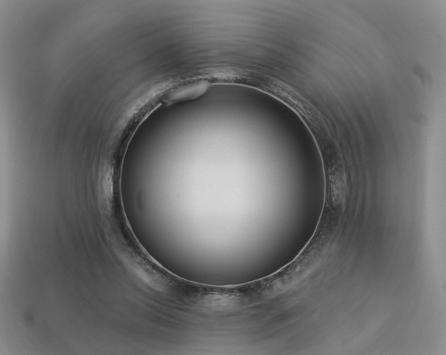 X0000113230350200909101216