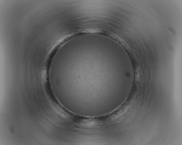 X0000113230351200909101216