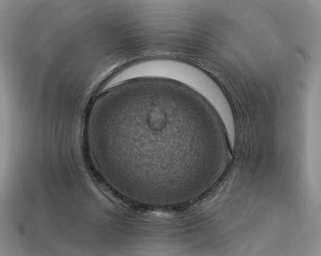 X0000113230352200909101216