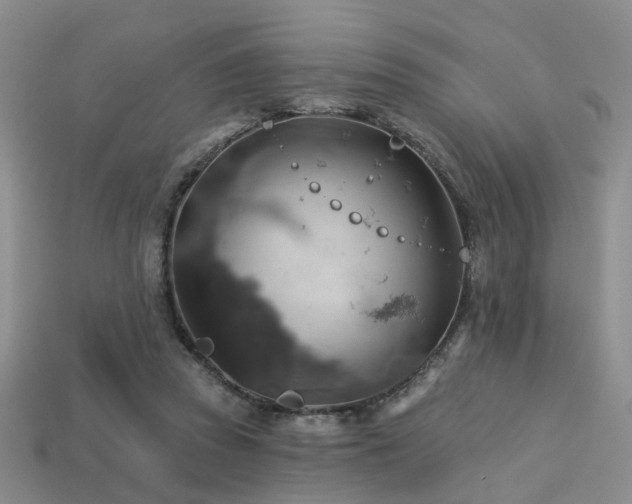 X0000113230353200909101216