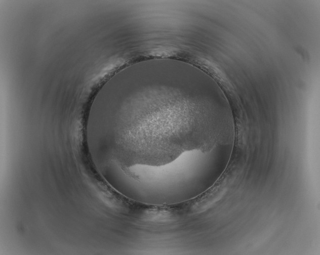 X0000113230354200909101216