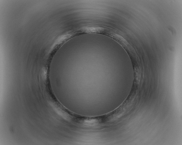 X0000113230357200909101216