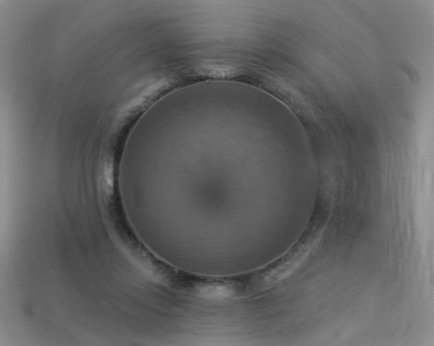 X0000113230358200909101216