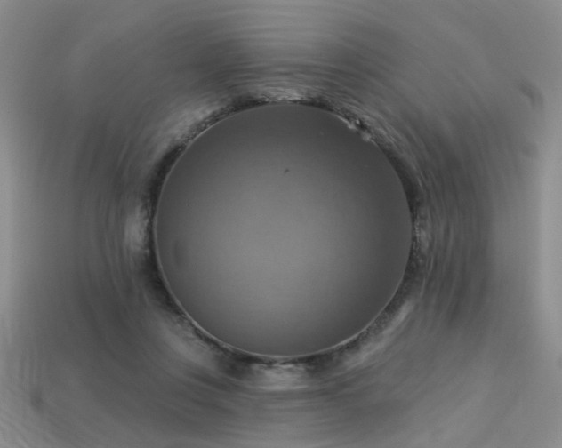 X0000113230359200909101216