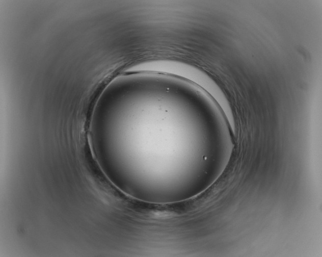 X0000113230360200909101216