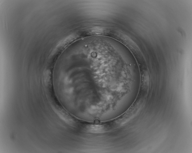 X0000113230361200909101216