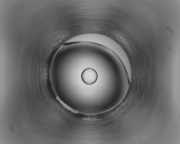 X0000113230362200909101216