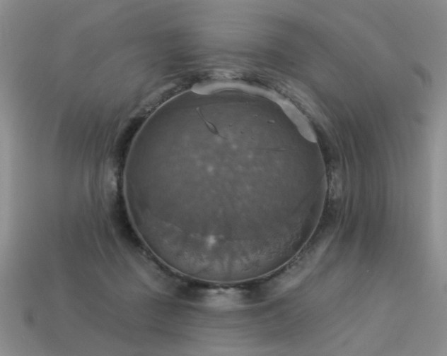X0000113230363200909101216