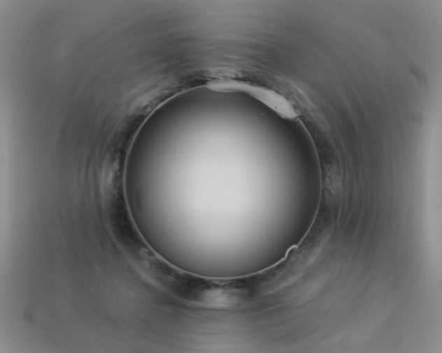 X0000113230364200909101216