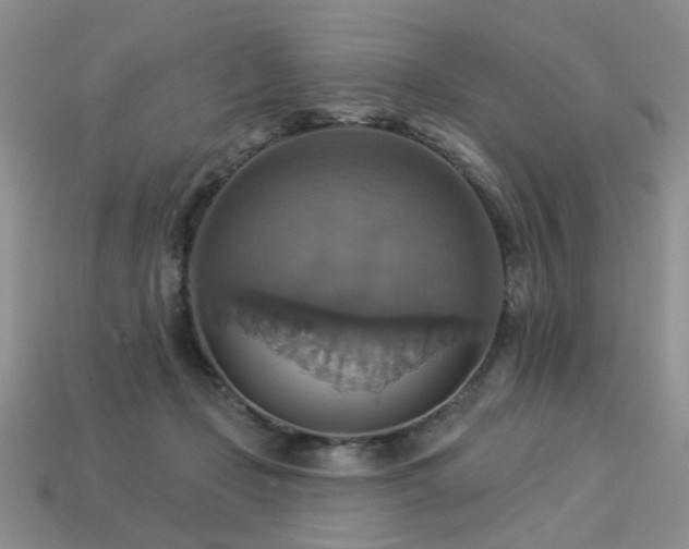 X0000113230365200909101216