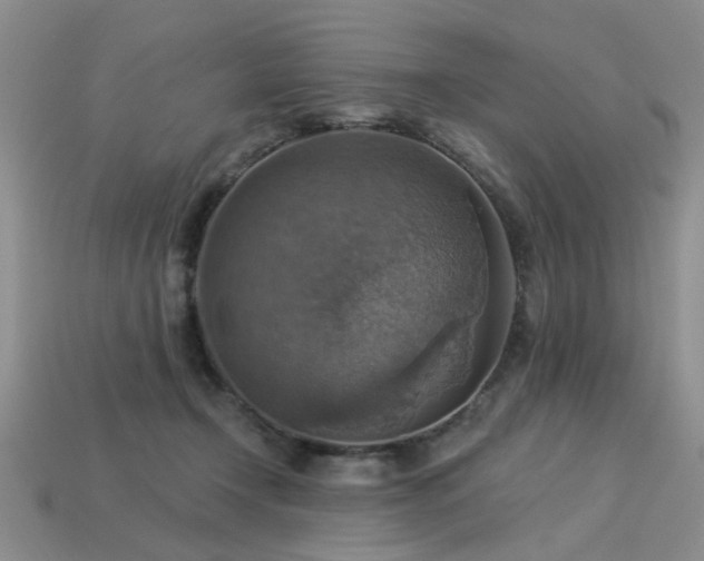 X0000113230366200909101216